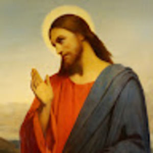 Meet your Posher, Ray